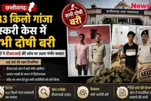 छत्तीसगढ़ में 833 किलो गांजा तस्करी मामले में हाई कोर्ट द्वारा सभी आरोपियों को बरी किए जाने और डीआरआई (DRI) की जांच पर सवाल उठाने की खबर दर्शाता न्यूज़ क्रिटिक (News Critic) का इंफोग्राफिक बैनर।