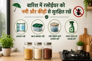 बारिश के मौसम में रसोईघर की सफाई करते हुए नमी और कीड़ों से बचाव के उपाय