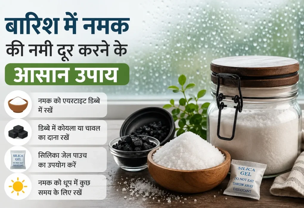 बारिश में नमक की नमी दूर करने के आसान घरेलू उपाय।