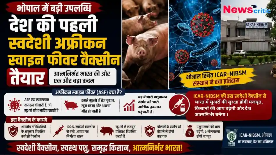 भोपाल में बड़ी उपलब्धि: देश की पहली स्वदेशी अफ्रीकन स्वाइन फीवर (ASF) वैक्सीन तैयार - न्यूज़ क्रिटिक।