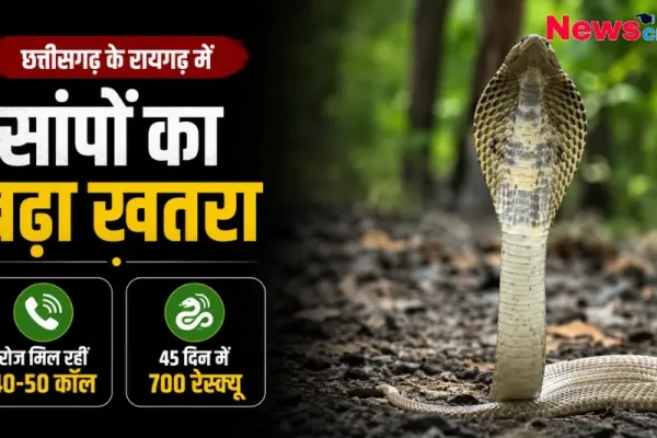 न्यूज क्रिटिक पर छत्तीसगढ़ के रायगढ़ में सांपों के बढ़ते खतरे और रेस्क्यू आंकड़ों की ताजा खबर।