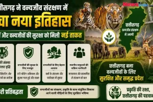 छत्तीसगढ़ ने वन्यजीव संरक्षण में रचा नया इतिहास, बाघों और अन्य जीवों की सुरक्षा हुई मजबूत - न्यूज़ क्रिटिक।