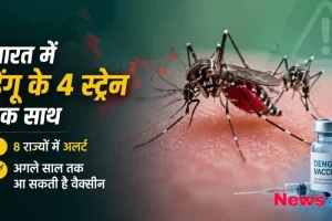 भारत में डेंगू के 4 स्ट्रेन एक साथ - News Critic पर जानिए 8 राज्यों में अलर्ट और अगले साल तक डेंगू वैक्सीन आने की पूरी खबर।