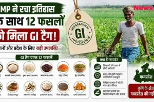 मध्य प्रदेश (MP) की 12 फसलों को एक साथ जीआई (GI) टैग मिलने की ऐतिहासिक उपलब्धि और उसके फायदों को दर्शाता हुआ News Critic का एक इंफोग्राफिक न्यूज़ पोस्टर।