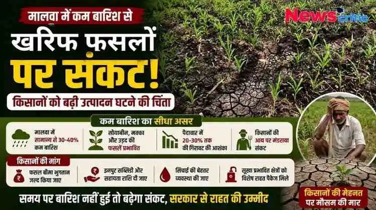 "मालवा में कम बारिश के कारण खरीफ फसलों पर संकट, किसानों को भारी नुकसान की आशंका - News Critic"