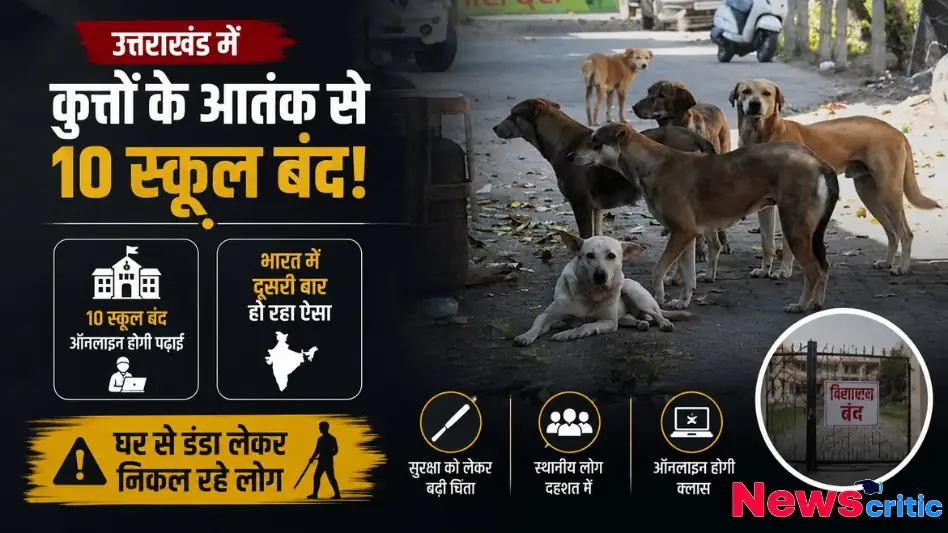 न्यूज़ क्रिटिक (News Critic) का ग्राफ़िक जिसमें उत्तराखंड में कुत्तों के आतंक के कारण 10 स्कूलों के बंद होने, लोगों में दहशत और ऑनलाइन पढ़ाई शुरू होने की खबर को दर्शाया गया है।