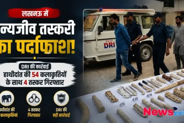 न्यूज़ क्रिटिक (News Critic) का ग्राफ़िक जिसमें लखनऊ में DRI की बड़ी कार्रवाई के तहत हाथीदांत की 54 कलाकृतियों के साथ 4 वन्यजीव तस्करों की गिरफ्तारी को दर्शाया गया है।
