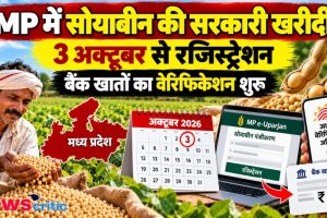 एमपी में सोयाबीन की सरकारी खरीदी के लिए 3 अक्टूबर से रजिस्ट्रेशन और बैंक खाता वेरिफिकेशन शुरू - News Critic