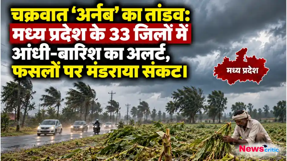 चक्रवात 'अर्नब' के तांडव और मध्य प्रदेश के 33 जिलों में आंधी-बारिश के अलर्ट से फसलों पर मंडराते संकट का दृश्य - News Critic